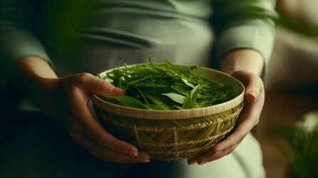 女子手握鲜绿茶叶篮充满朴实真实的摄影图片
