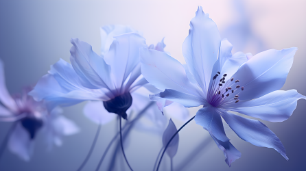 梦幻浪漫的蓝色花朵摄影图