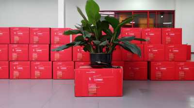红色礼盒前的中国盆栽摄影图片