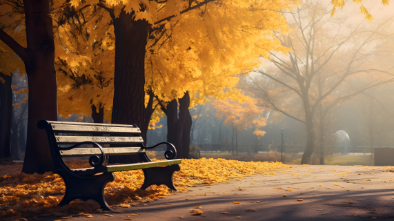 秋天公园中的黄色树木休息长椅摄影图