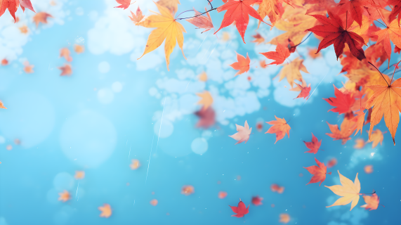 秋叶飘落天空背景摄影图片