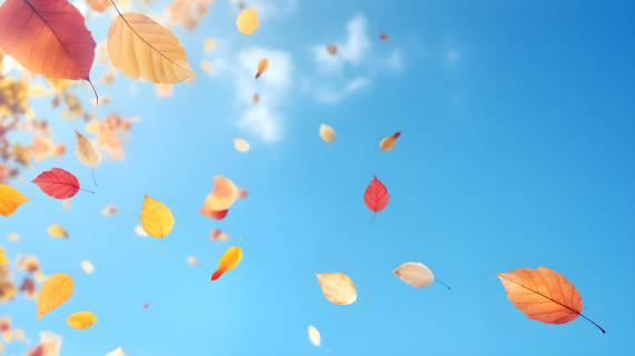 仰拍蓝色天空秋季落叶掉落摄影图片