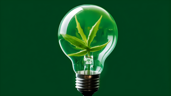 绿植在灯泡中的精确主义风格影像摄影图片