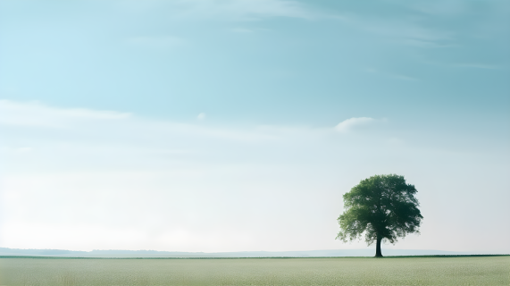 乡村孤树在广阔的草地上摄影图