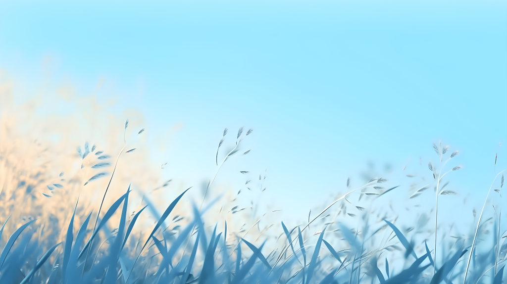 夏日天蓝色草原高清图