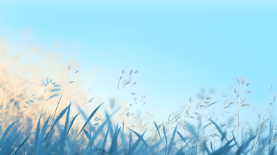 夏日天蓝色草原高清图