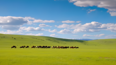 阳光草原上的逼真马群摄影图片