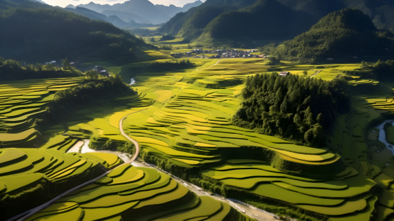 农村稻田的风景摄影图片