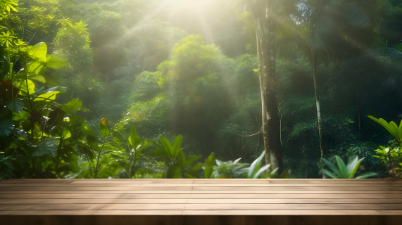 阳光照耀丛林中的空木桌摄影图片