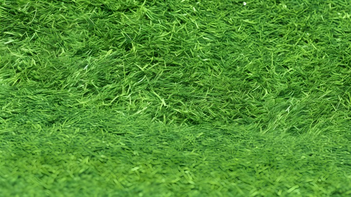 绿色点彩活力四溢的人工草坪摄影版权图片下载