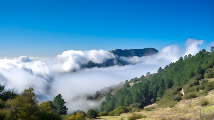 云山青翠，道中乐。版权图片下载