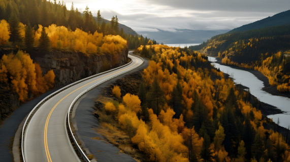 秋天的树林与乡间公路摄影图片