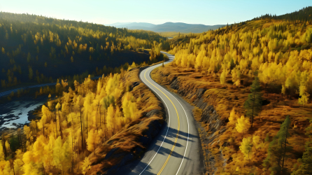美丽秋季黄叶飘落的公路摄影图片