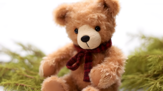 可爱小熊玩偶摄影图