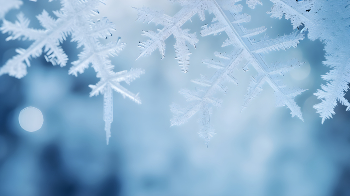 冬季雪花特写摄影图版权图片下载