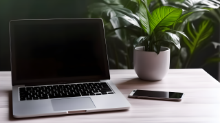 绿植和未开机的办公电脑摄影图片