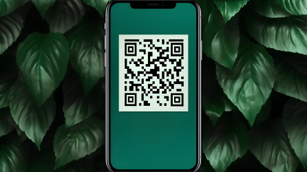 手机二维码绿叶背景摄影图片
