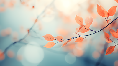 橙色秋叶唯美风光摄影图片