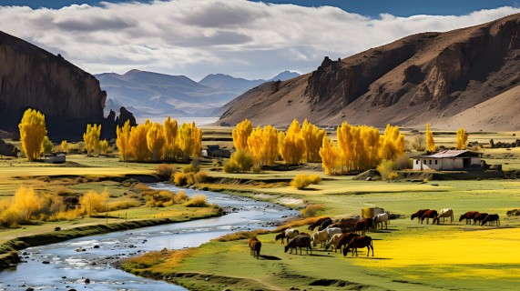 新疆的秋季风景摄影图片
