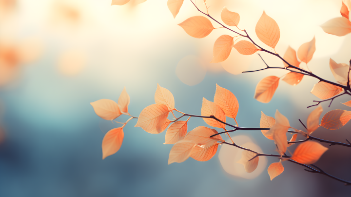 美丽秋天枝条上的秋叶摄影图版权图片下载