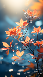 秋天枝上橘红树叶摄影图片