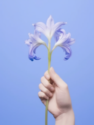蓝与白之间的花朵摄影图
