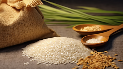 稻米袋中的水稻植物和勺子摄影图片