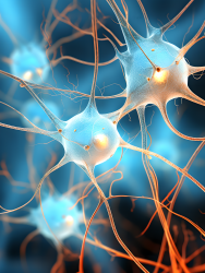 脑神经元微观明亮蓝色摄影图