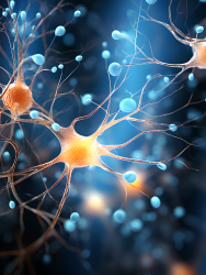 大脑神经元微观图像的明亮蓝色摄影图片