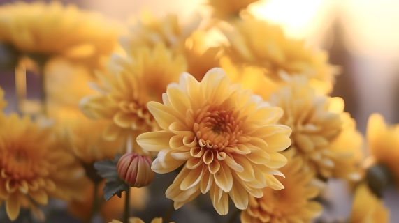 秋日精致的花朵摄影图
