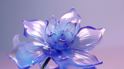 蓝紫花摄影图片