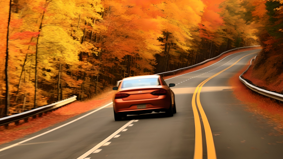 秋叶红伴随的道路行驶摄影图