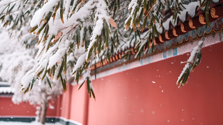 落雪的竹叶红墙雪景摄影图版权图片下载