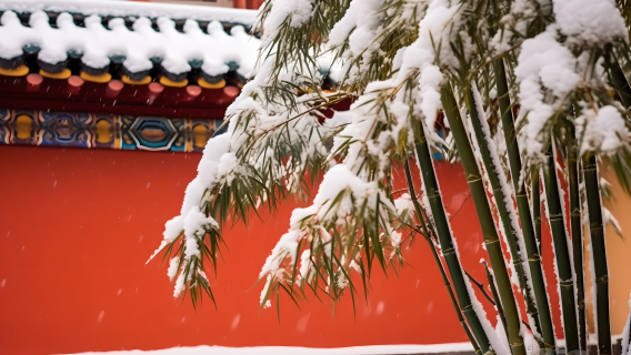 唯美红墙竹叶浪漫雪景摄影图片
