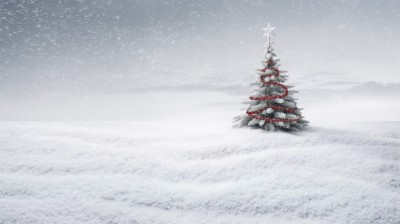 雪中圣诞树图片