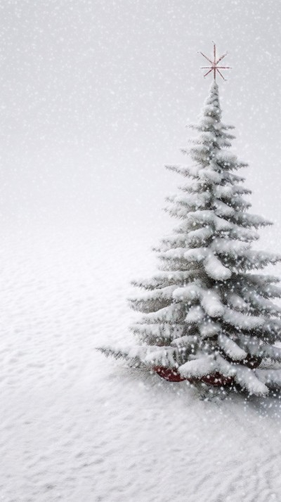 雪地圣诞树摄影图