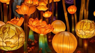 灯笼夜晚的灯笼摄影图片