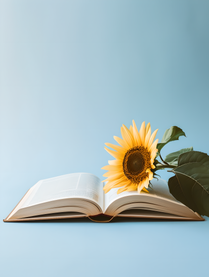 书本鲜花小清新摄影图片