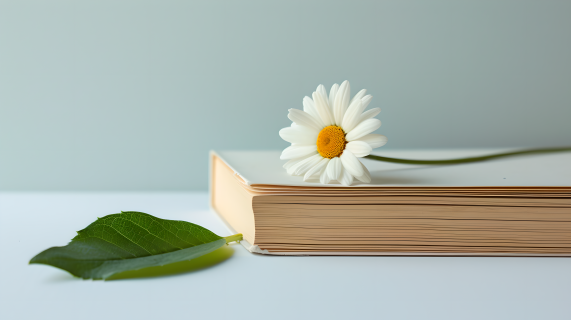 书本鲜花简洁书桌图片