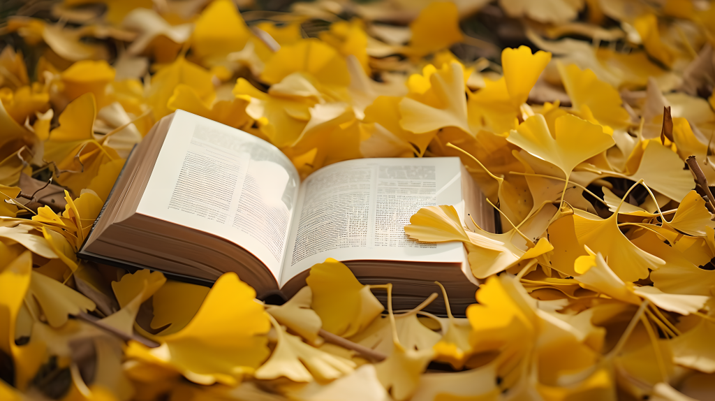 翻开的书本黄色银杏叶版权图片下载