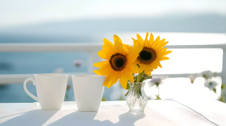 清新向日葵明媚阳光图片