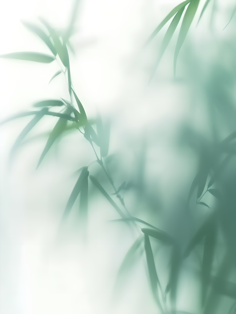 小清新植物朦胧感图片