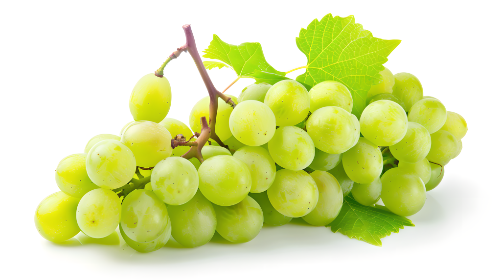 单个水果小清新图片