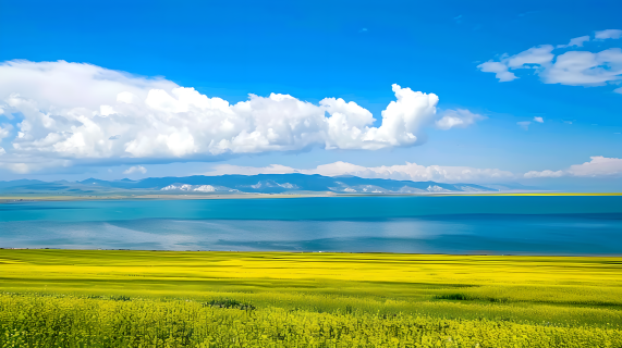 油菜花田天空之境图片