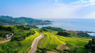 乡村海边稻田图片