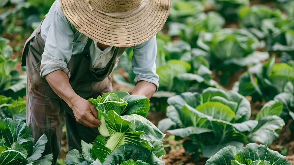 劳作的农民版权图片下载