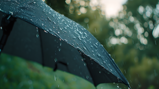 雷阵雨黑色雨伞图片