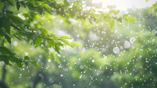 下雨天雨滴落下图片