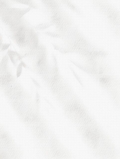 白色背景纹理图片