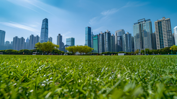 城市绿化草地特写图片